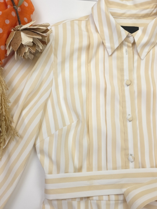 New Striped Cream Striped  and White Button-Front Peplum Belted dress Sz 4 - Picture 8 of 11